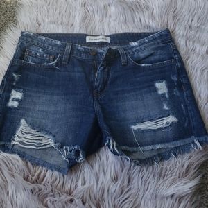 Flying Monkey Distressed Shorts